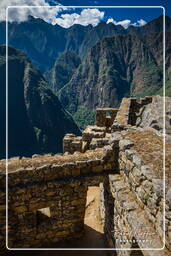 Machu Picchu (30)