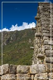Machu Picchu (40)