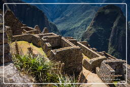 Machu Picchu (41)