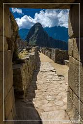 Machu Picchu (43)