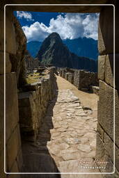 Machu Picchu (43)