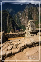 Machu Picchu (45)