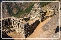 Machu Picchu (46)