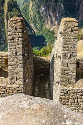 Machu Picchu (48)