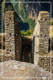 Machu Picchu (48)