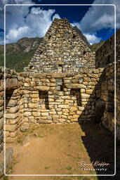 Machu Picchu (54)