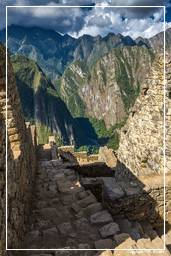 Machu Picchu (56)