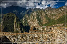 Machu Picchu (65)