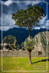 Machu Picchu (68)