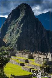 Machu Picchu (72)