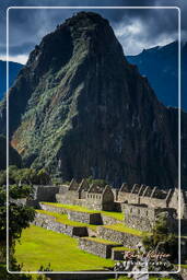 Machu Picchu (72)