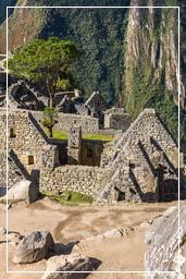 Machu Picchu (73)