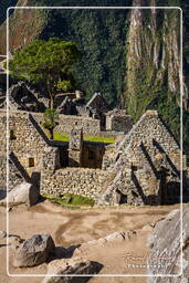 Machu Picchu (73)