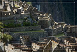 Machu Picchu (94)