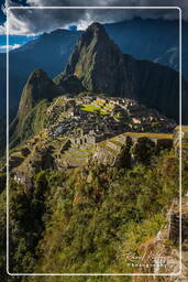 Machu Picchu (125)