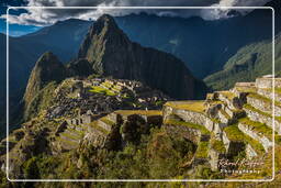 Machu Picchu (128)