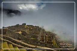 Machu Picchu (146)