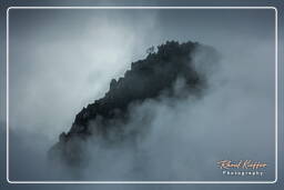 Machu Picchu (161)