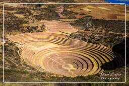 Moray (15) Terrasses Incas à Moray