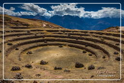 Incan terraces at Moray, Moray (27)