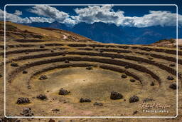 Moray (27) Terrasses Incas à Moray