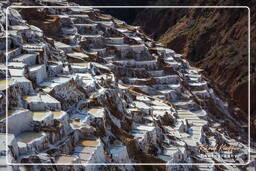 Salt ponds of Maras (Salinas) (29)