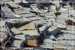 Salinas de Maras (31)