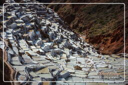 Marais salants de Maras (Salinas) (34)