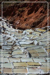 Salinas de Maras (41)