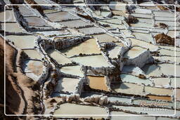 Salt ponds of Maras (Salinas) (43)