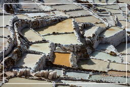 Salt ponds of Maras (Salinas) (44)