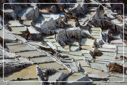 Salt ponds of Maras (Salinas) (45)