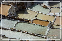 Salt ponds of Maras (Salinas) (47)