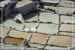 Salt ponds of Maras (Salinas) (48)