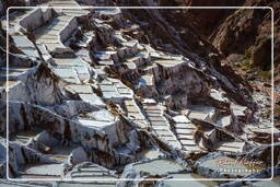 Salt ponds of Maras (Salinas) (56)