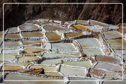 Salt ponds of Maras (Salinas) (57)