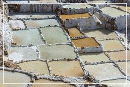 Salt ponds of Maras (Salinas) (61)