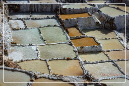 Salt ponds of Maras (Salinas) (61)