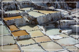 Salt ponds of Maras (Salinas) (62)