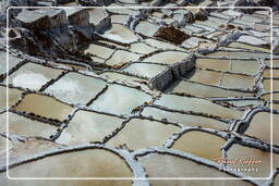 Salt ponds of Maras (Salinas) (64)