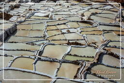 Salt ponds of Maras (Salinas) (65)