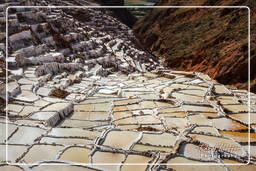 Marais salants de Maras (Salinas) (70)