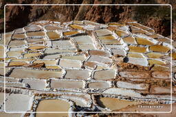 Salt ponds of Maras (Salinas) (72)