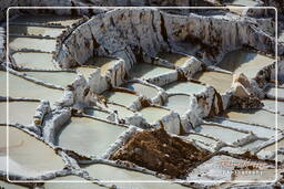 Salt ponds of Maras (Salinas) (73)