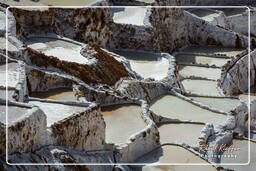 Salt ponds of Maras (Salinas) (74)