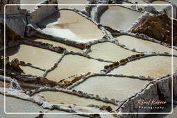 Salt ponds of Maras (Salinas) (75)