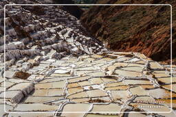 Salt ponds of Maras (Salinas) (80)