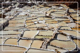 Salt ponds of Maras (Salinas) (82)