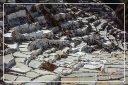 Salt ponds of Maras (Salinas) (83)