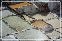 Salinas de Maras (84)